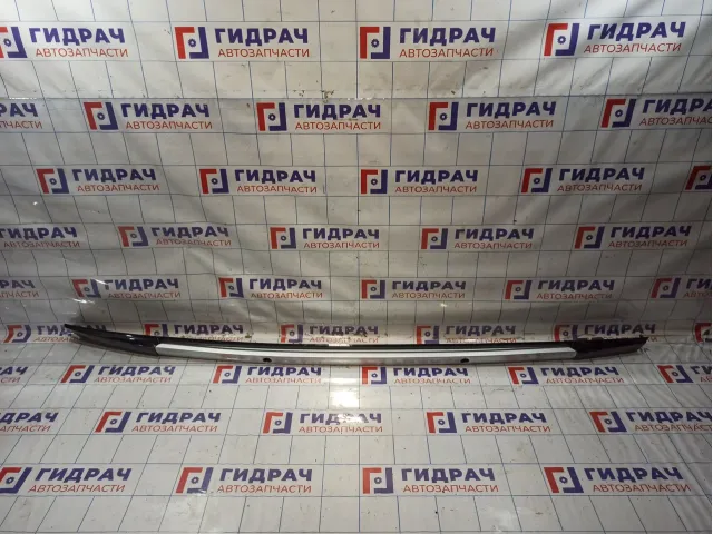 Рейлинг левый Haval H6 5709110AKZ36A