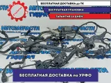Проводка моторная Honda Accord.