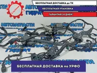 Проводка моторная Honda Accord.