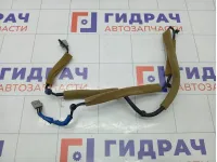 Проводка (коса) светильников салона Honda Accord