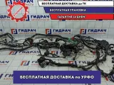 Проводка моторная Honda Accord 8 .