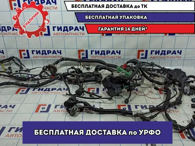 Проводка моторная Honda Accord 8 .