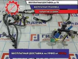 Проводка моторная Honda Accord 8 .