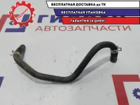 Шланг вентиляции картер. Газов Honda Accord 8.