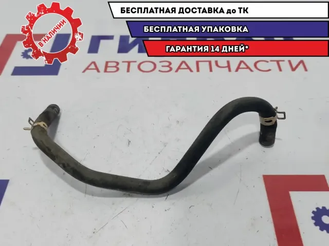 Шланг вентиляции картер. Газов Honda Accord 8.