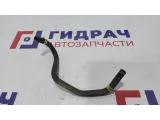 Шланг вентиляции картер. Газов Honda Accord 8.