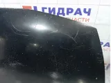 Капот Honda Civic 60100SNB000ZZ