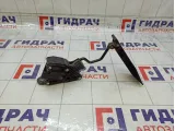 Педаль газа Honda Civic 17800SNBG71