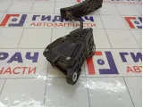 Педаль газа Honda Civic 17800SNBG71