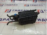 Абсорбер (фильтр угольный) Honda Civic 17300SNA003