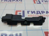 Накладка топливной рейки Honda Civic 4D 8 16640-RNA-A00.