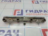 Рейка топливная Honda Civic 4D 8 16620-RNA-A01.