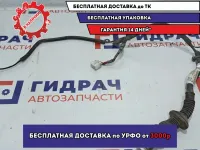 Проводка (коса) двери задней левой Honda Civic 4D 8.