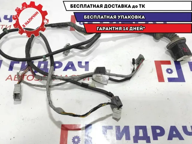 Проводка двери передней правой Honda Civic 5D 32752-SMG-G10.