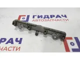 Рейка топливная Honda Civic 5D 16620-RNA-A01.