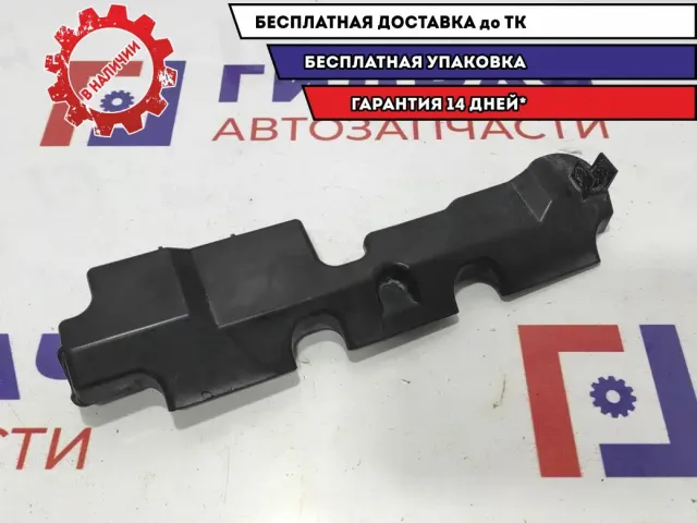 Накладка топливной рейки Honda Civic 5D 16640-RNA-A00.