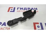 Накладка топливной рейки Honda Civic 5D 16640-RNA-A00.