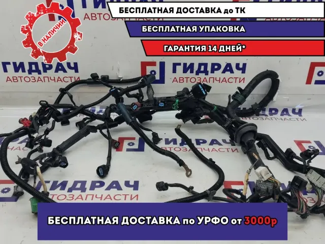 Проводка моторная Honda Fit .
