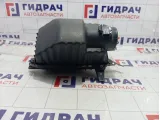 Корпус воздушного фильтра Honda Pilot (YF4) 17244RN0A00