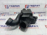 Резонатор воздушного фильтра Honda Pilot (YF4) 17230RN0A00