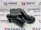 Резонатор воздушного фильтра Honda Pilot (YF4) 17230RN0A00