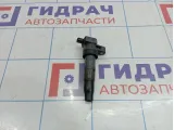 Катушка зажигания Hyundai Equus (VI) 27301-3C000