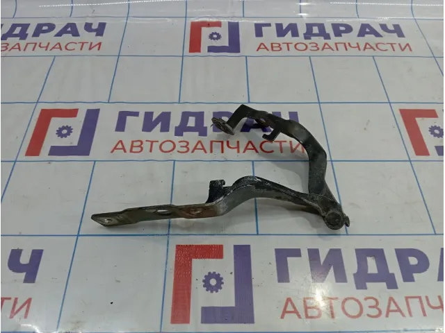 Петля капота левая Hyundai Equus (VI) 79110-3N000