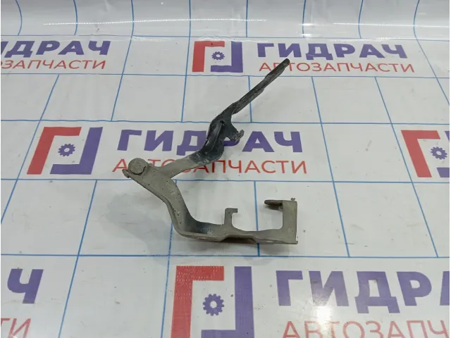 Петля капота правая Hyundai Equus (VI) 79120-3N000