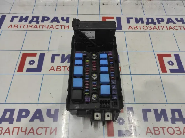 Блок предохранителей Hyundai Equus (VI) 91950-3M173