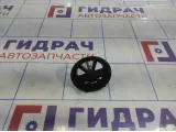 Болт крепления запасного колеса Hyundai Equus (VI) 62851-3N000