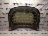 Капот Hyundai Equus (VI) 66400-3N000