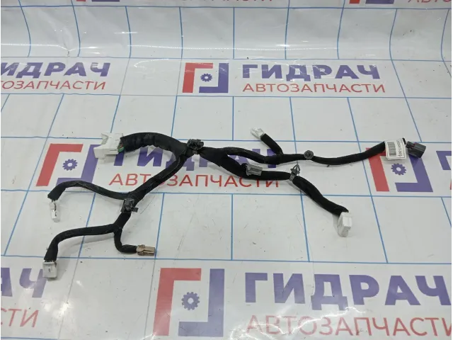 Проводка двери задней левой Hyundai Equus (VI) 26173-3N010