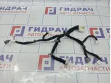 Проводка двери задней правой Hyundai Equus (VI) 26174-3N010