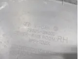 Накладка декоративная подкапотная правая Hyundai Equus (VI) 29321-3N000