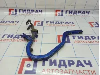 Петля крышки багажника правая Hyundai Accent (LC) 79220-25000
