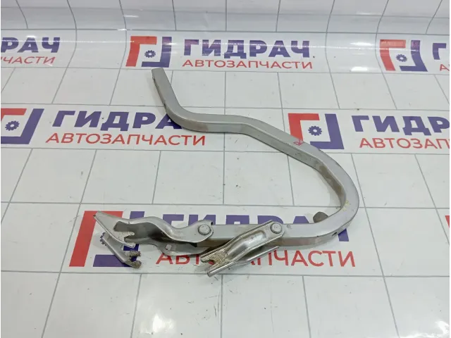 Петля крышки багажника правая Hyundai Accent (LC) 79220-25000