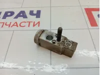 Клапан кондиционера Hyundai Accent 976041C100