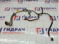 Проводка двери передней правой Hyundai Accent 9182025301