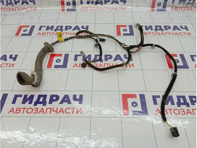 Проводка двери передней правой Hyundai Accent 9182025301