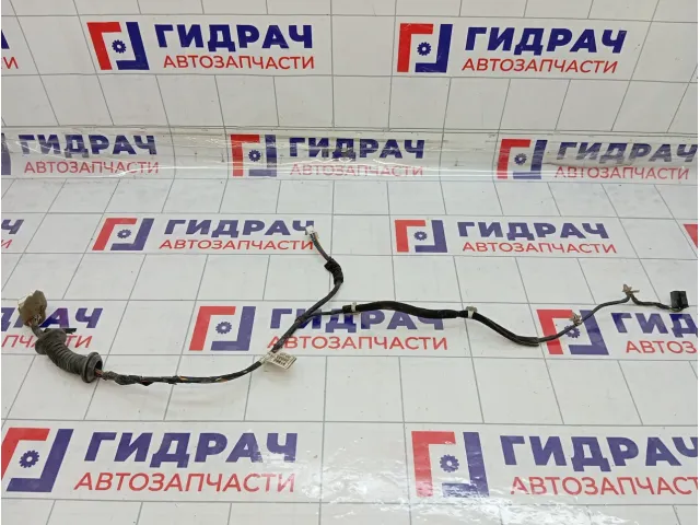 Проводка двери задней правой Hyundai Accent 9186025020