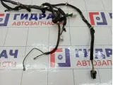 Проводка двери передней левой Hyundai Accent 9181025341