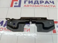 Кожух замка капота Hyundai Accent 8119325010