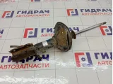 Амортизатор передний левый Hyundai Accent