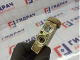 Клапан кондиционера Hyundai Accent (LC) 97604-1C100