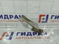 Петля капота левая Hyundai Accent 7911025001