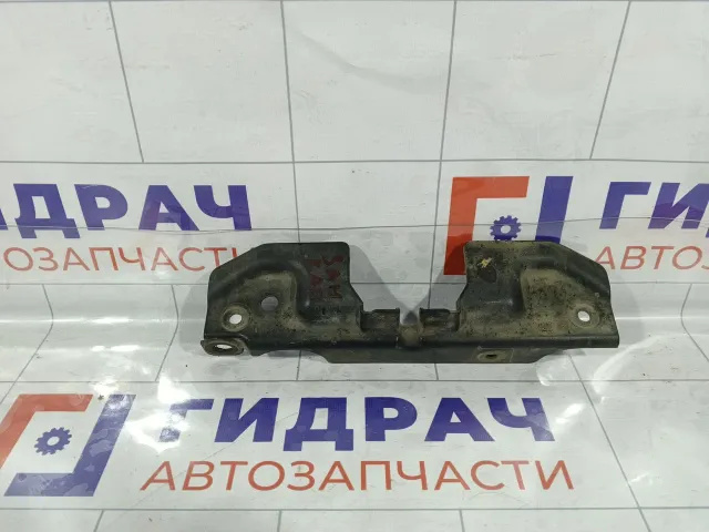 Кожух замка капота Hyundai Accent 8119325010