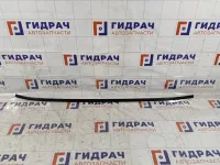 Молдинг крыши левый Hyundai Accent 8725125000