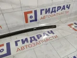 Молдинг крыши левый Hyundai Accent 8725125000