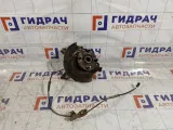 Кулак поворотный передний правый Hyundai Accent 5171525000