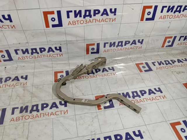 Петля багажника левая Hyundai Accent 7921025000